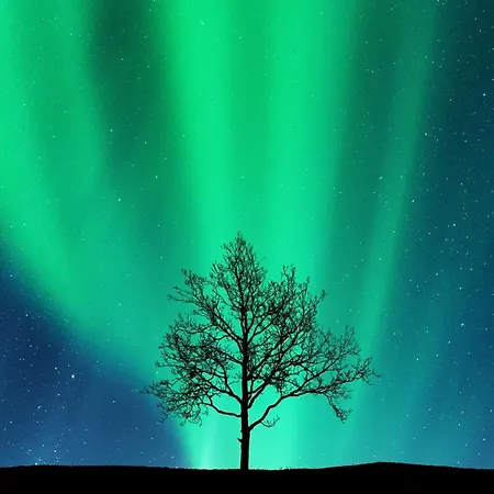 דירה Arctic Homes - Historical Newly Renovated טרומסה