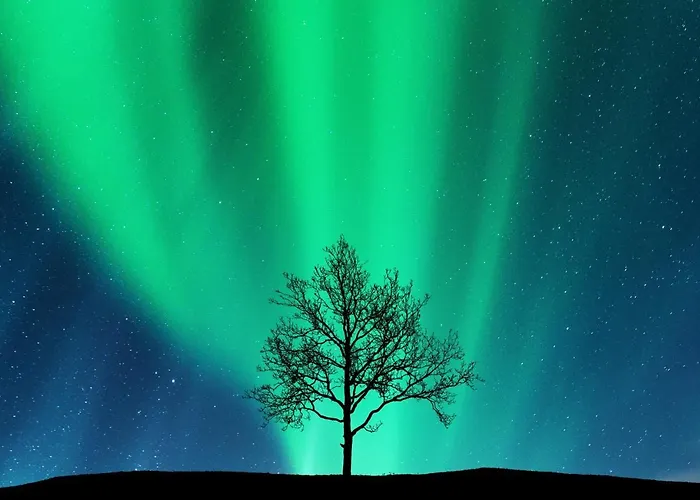 아파트 Arctic Homes - Historical Newly Renovated 트롬쇠