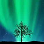Daire Arctic Homes - Historical Newly Renovated Tromsø