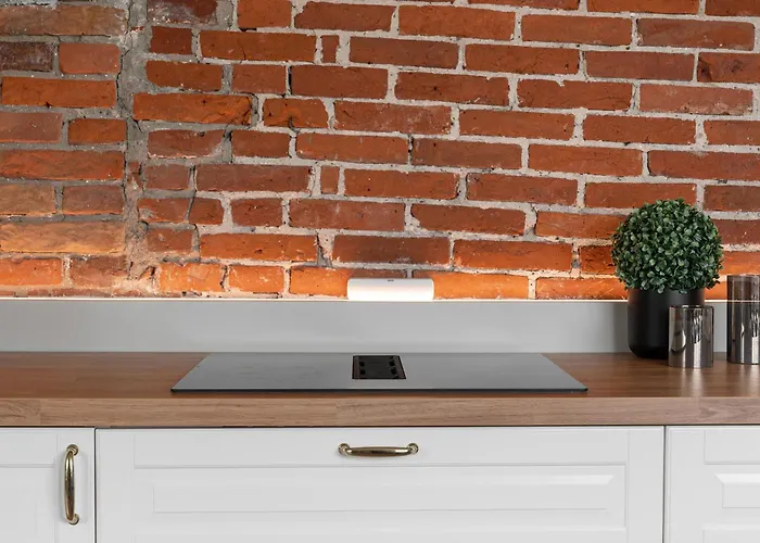 Arctic Homes - Historical Newly Renovated Appartement *